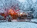 Extremis_HopperShade_WinterWonderland-1.webp