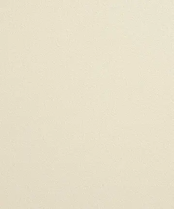 [CAT278] Touch-up paint (Poederlakstift = 12 ml, Cosmic cream (RAL1015))