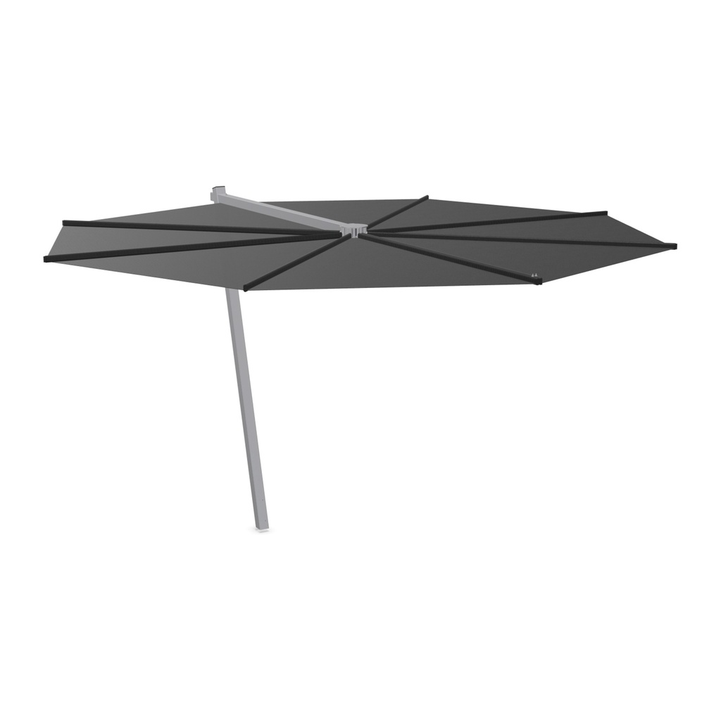 Kosmos parasol
