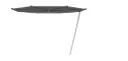 Kosmos parasol
