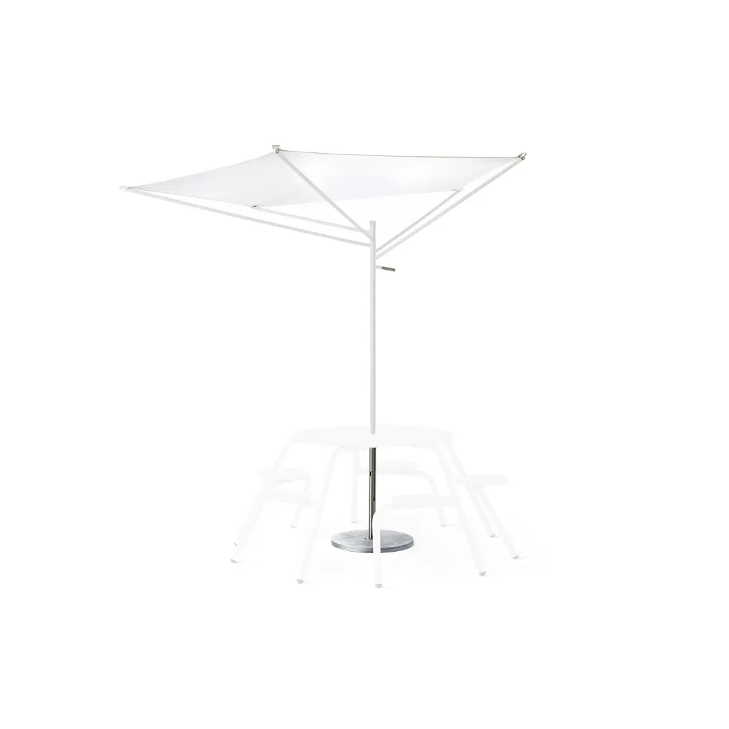 Acacia shade