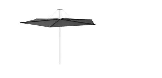 Inumbrina parasol