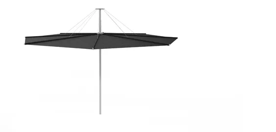 Inumbrina parasol