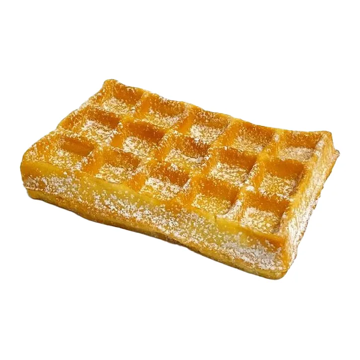 Dummy food