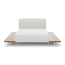 Walrus