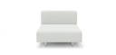 Walrus