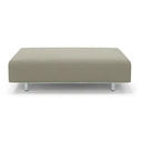 Walrus